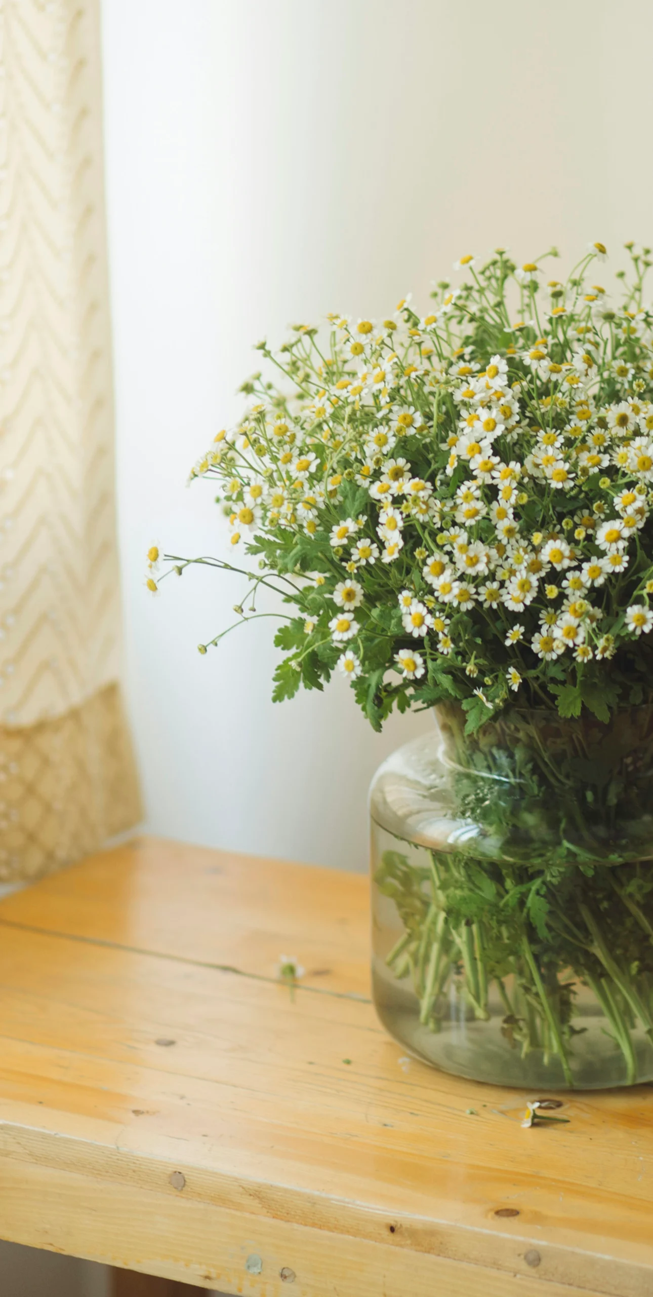 Heller Praxisraum mit einem Strauß weißer Blumen am Fenster
